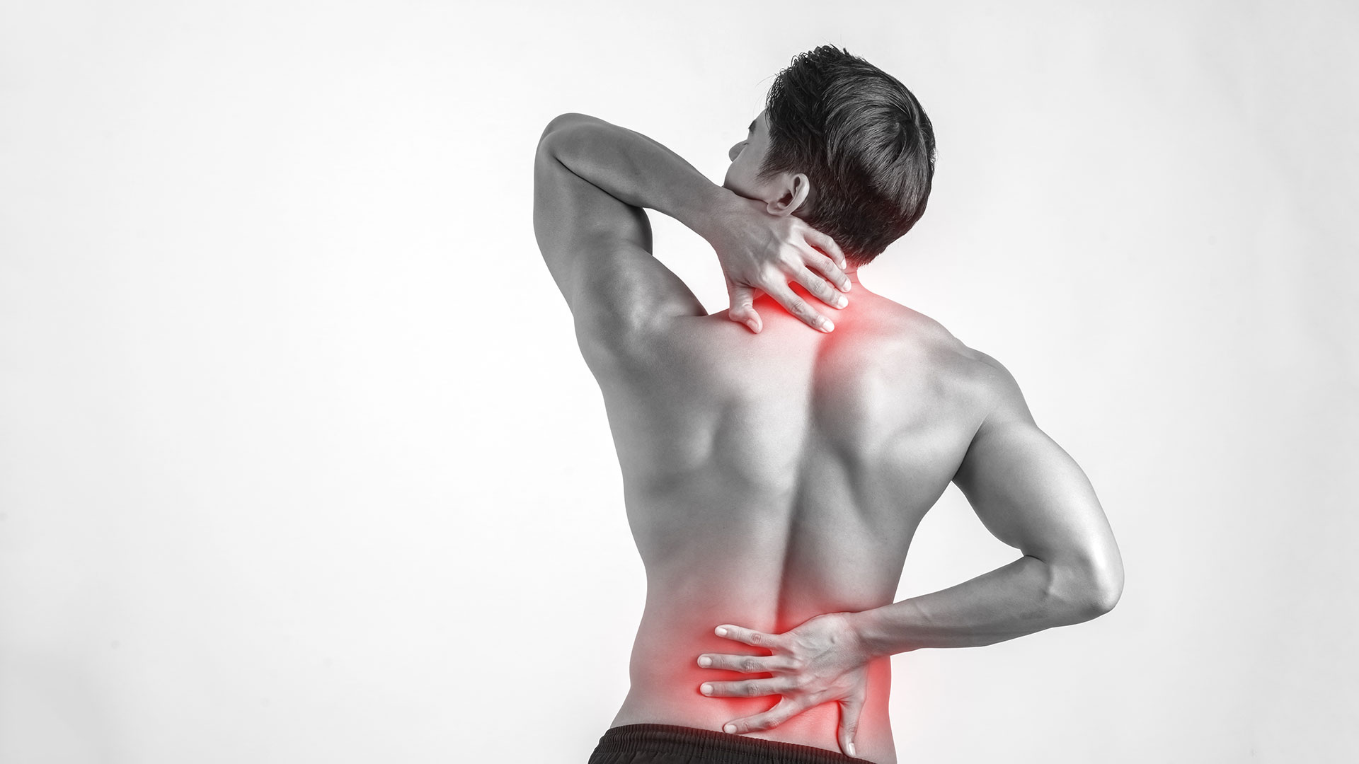 neck pain Physical therapy Warren mi